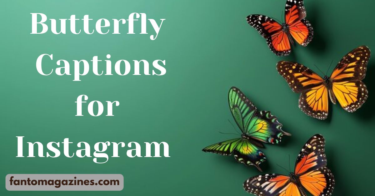 butterfly captions for instagram