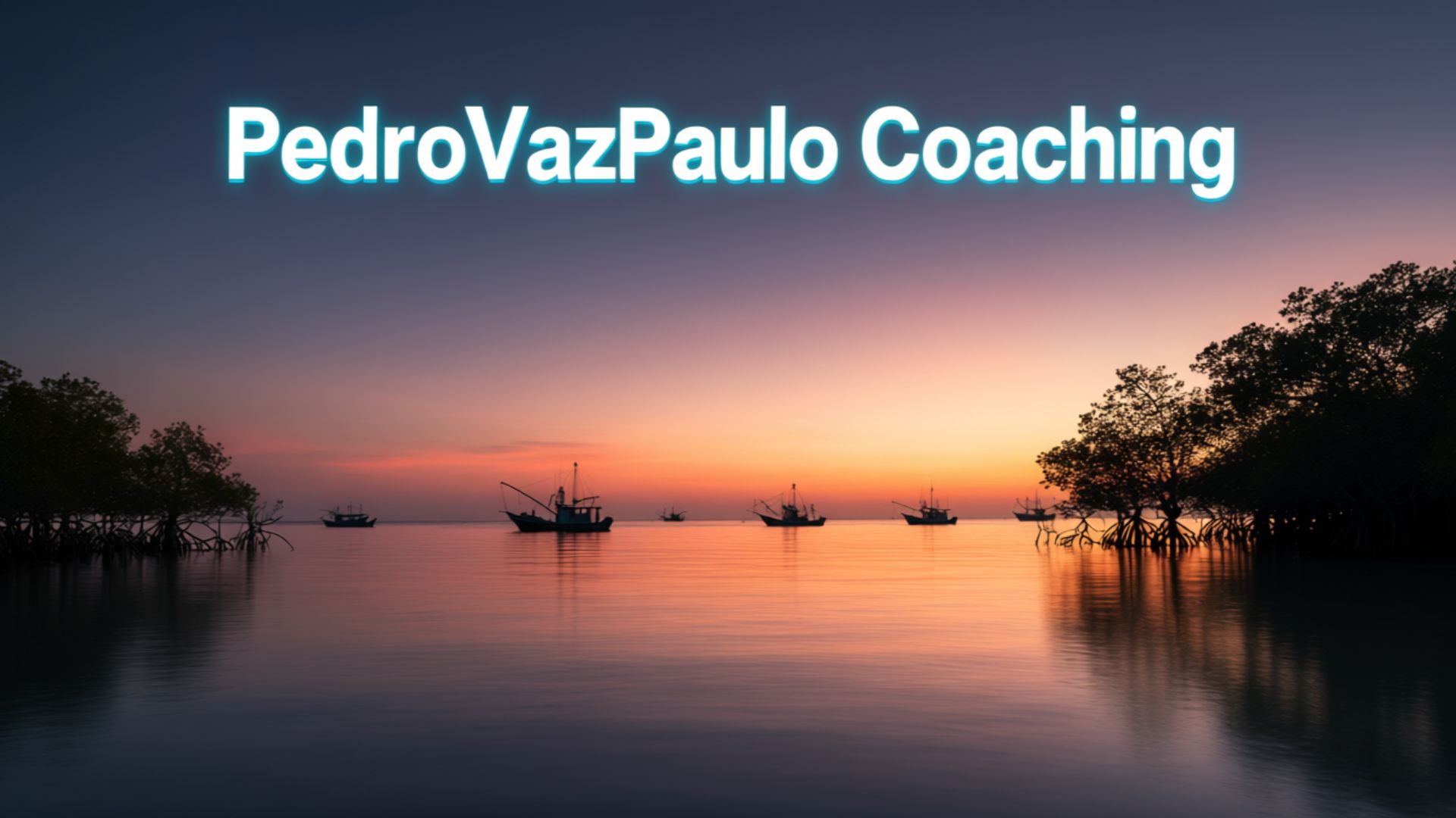 PedroVazPaulo Coaching