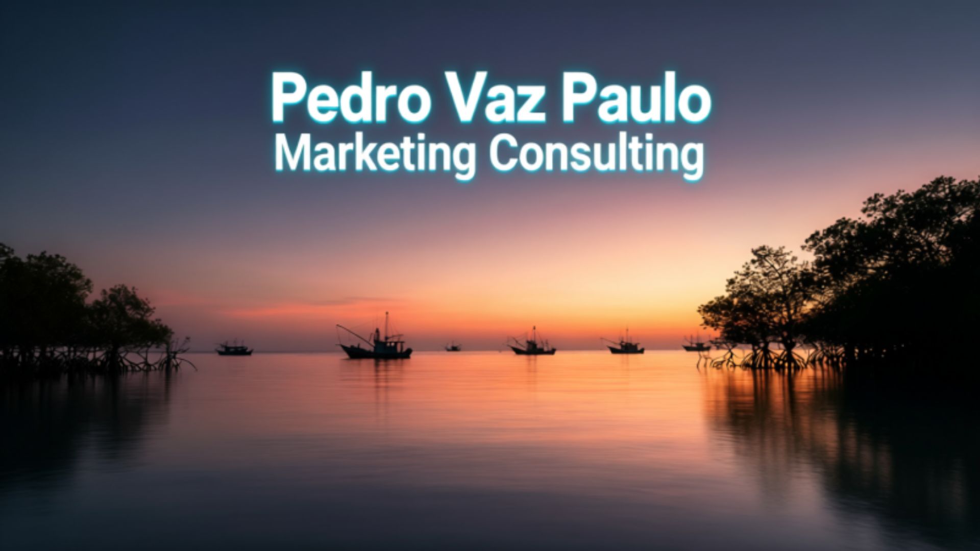 PedroVazPaulo Marketing Consulting