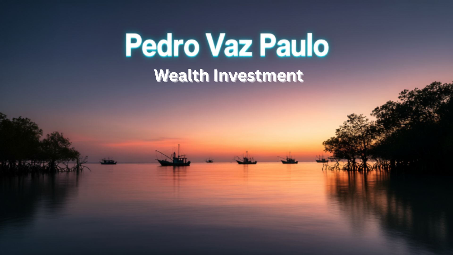 Pedrovazpaulo Wealth Investment